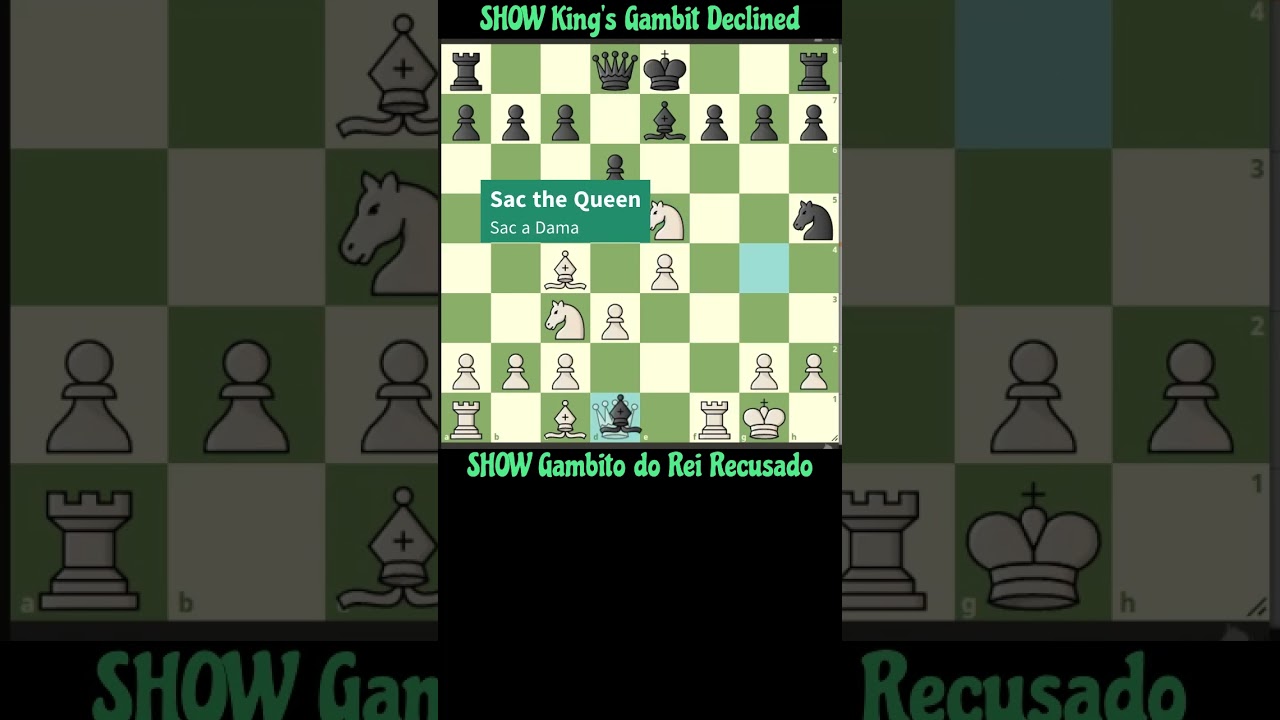SHOW King's Gambit Declined 🥇🥇SHOW no Gambito do Rei Recusado