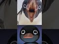 Penguin Are Cute But The Mouth Is Problem Penguin Are Cute But The Mouth Is Problem