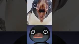 penguin are cute but the mouth is problem Resimi