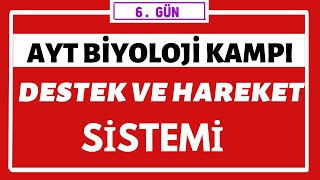 Destek Ve Hareket Sistemi Ayt Bi̇yoloji̇ Kampi 6Gün 