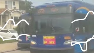 Rip q77 and other routes Busfan