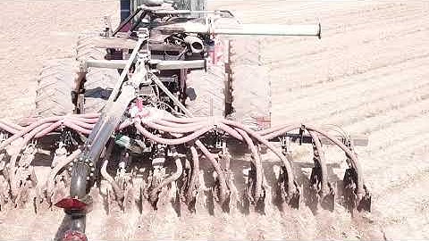 ZML Red Viper from rear close up