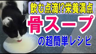 【飲む点滴】犬猫用骨スープの超簡単な作り方腎臓病、尿石症、膵炎などの水分補給に