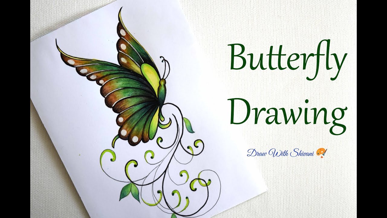 Easy How to Draw Butterfly Tutorial Video and Coloring Page