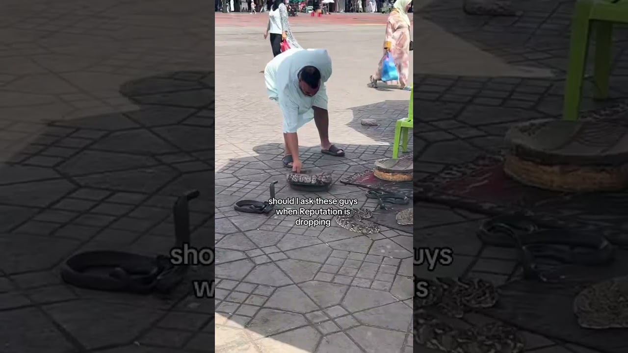 hssss reputation sssoon (the snake said that I heard him)