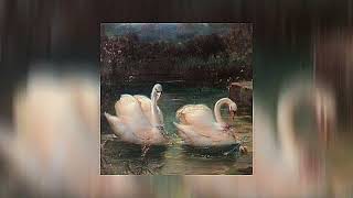 Download Lagu Swan Lake - Tchaikovsky [𝑆𝑝𝑒𝑒𝑑 𝑢𝑝] MP3
