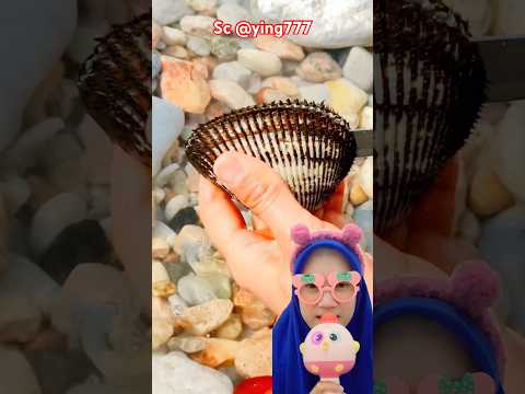 MENEMUKAN KERANG ISI MUTIARA⁉️@ying777  #shorts #funny #trendingshorts