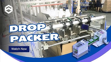 WIN-WIN PACK Automatic Drop Packer for Bottles/Daily Necessities Packaging/Case Packer