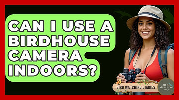 Can I Use A Birdhouse Camera Indoors? - Bird Watching Diaries