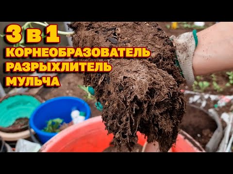 БЕСПЛАТНАЯ МУЛЬЧА РАНЬШЕ ВЫБРАСЫВАЛИ В МУСОР ТЕПЕРЬ СОБИРАЮ И ИСПОЛЬЗУЮ В ОГОРОДЕ@obovsemsmarusya