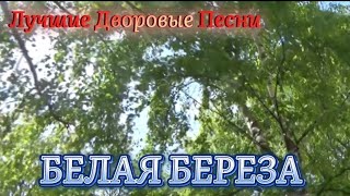 Алексей Кракин - Белая береза / Дворовые песни
