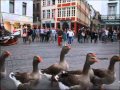 Mucky duck parade in Centrum Gent