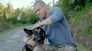 Heart of the Beast: Meet Brad Pitt's New Four-Legged Co-Star, Uber!