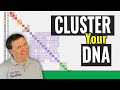 GEDmatch Tutorial: Cluster Your DNA Matches with Genesis