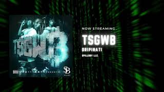 TSGWB NOW STREAMING!!! SUBSCRIBE TO SPILLBBY LLC (LINK IN DESCRIPTION)