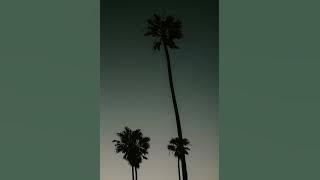 Download lagu Palm City Instrumental Remix