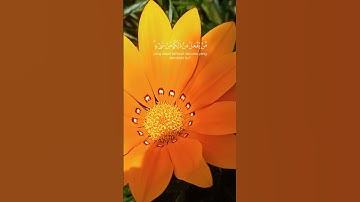 سورة الروم، الآية 40 الشيخ ياسر الدوسري #المصحف #اكسبلور #قرآن #ياسر_الدوسري #سورة_الروم
