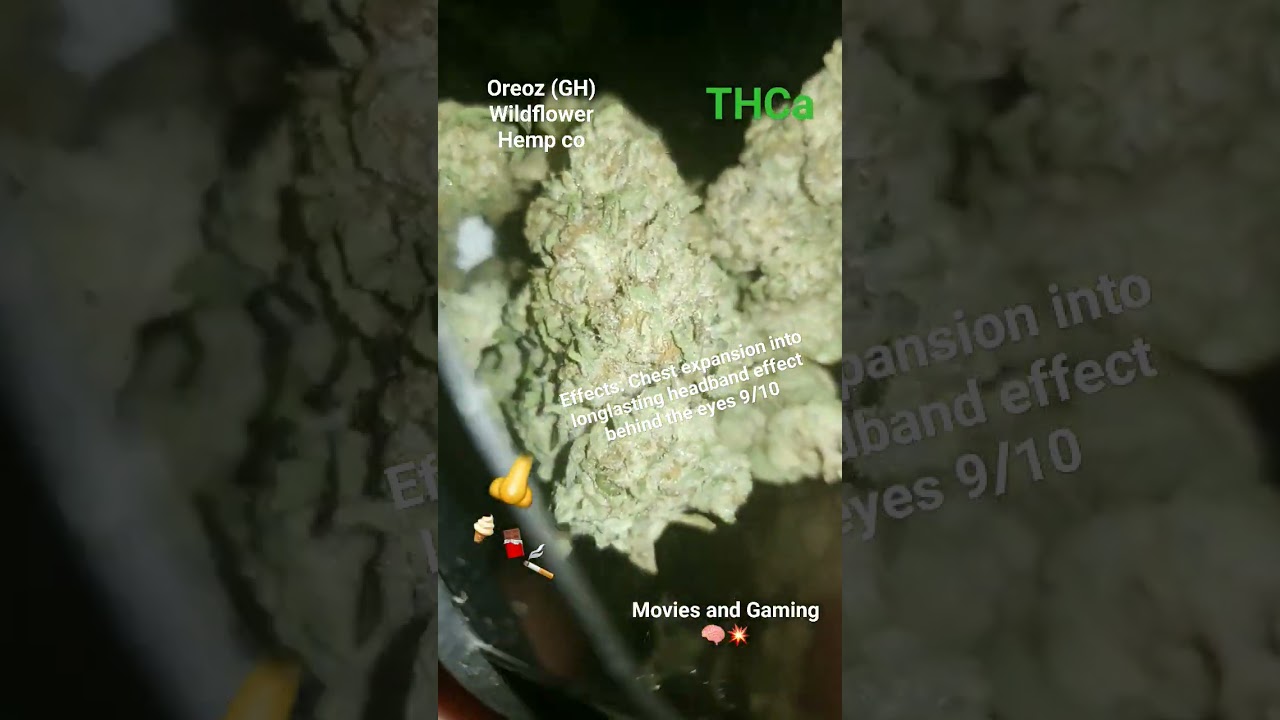 Wildflower Hemp Co | Oreoz (Gh)Budget review