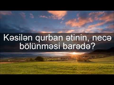 Yaşar Süleymanlı - Kəsilən qurban ətinin, necə bölünməsi barədə