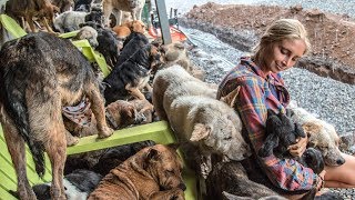 The 1100 Dogs of Territorio De Zaguates ♥ Everyone Needs Healing- Land Of Strays