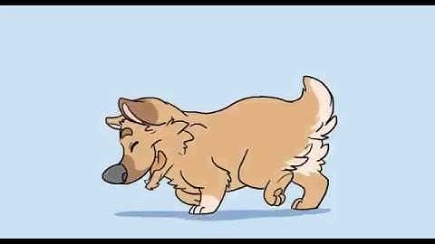 Corgi - run cycle