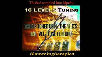 TR808 mpc60 16 levels demo 1