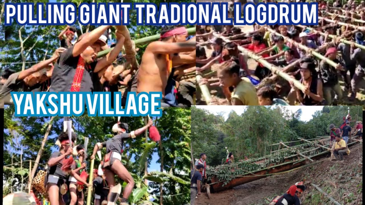 Pulling of Giant Traditional Logdrum|Yakshu village of Konyak Tribe|