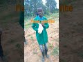 Mkono Wa Bwana Mkono Wa Bwana