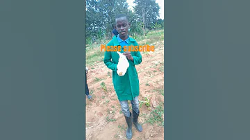 Mkono Wa Bwana 
