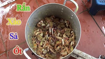 Rắn Xào Sả  Ớt