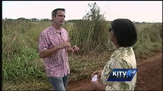 Largest renewable energy developer comes to Hawaii