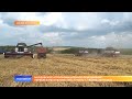 Мордовское агропромышленное объединение первым в республике приступило к уборке зерновых