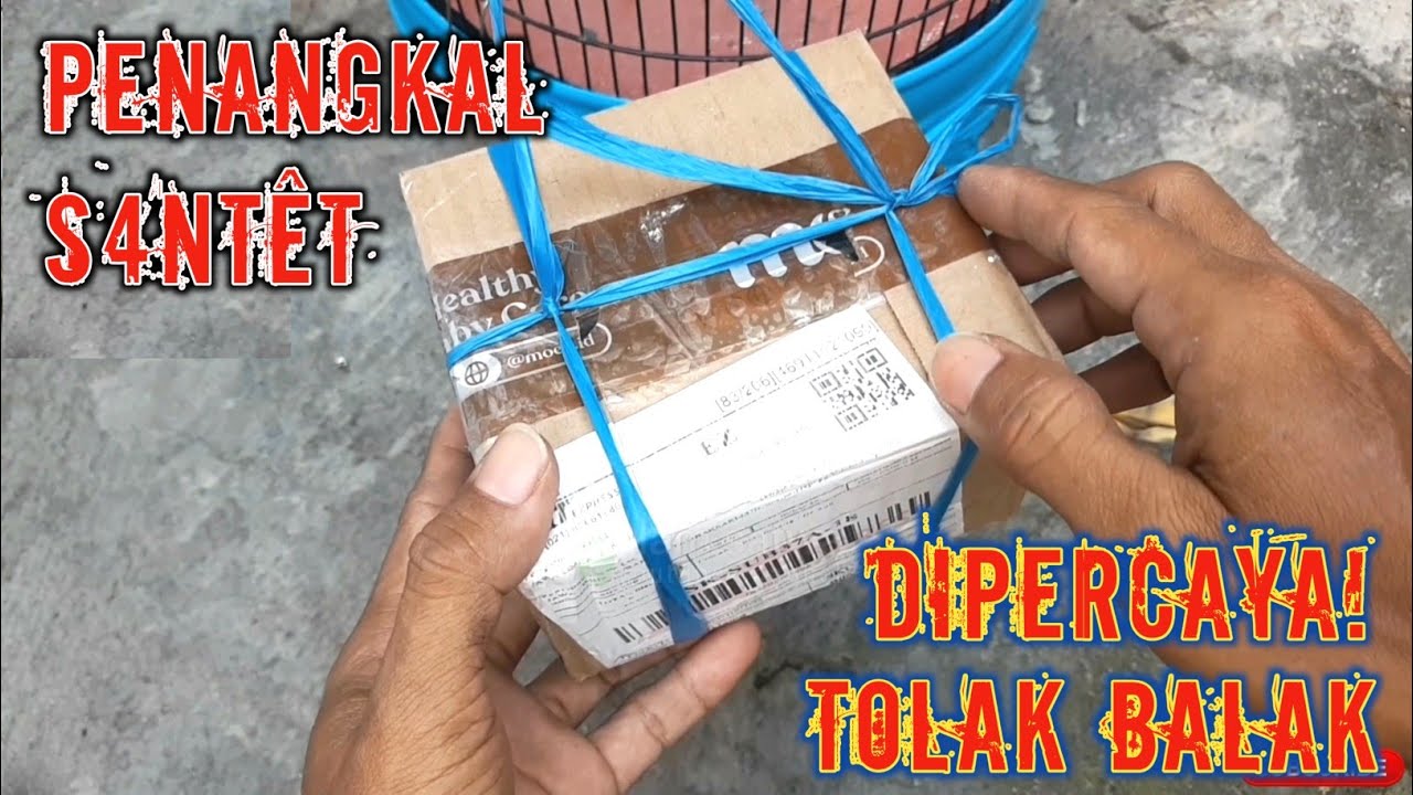 BURUNG MISTIS DAN EXSOTIS BISA TELER⁉️ Dijuluki Si Raja Teler Cakperling Jantan Mata Merah