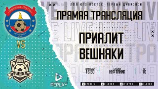 Юго-Восточная лига ЛФЛ Первый дивизион 2024. 10-й тур. "Приалит" vs "Вешняки"