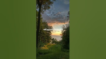 أكتب شيء تؤجر عليه 🤍🍃||القارئ عمر بن ضياء 🚨