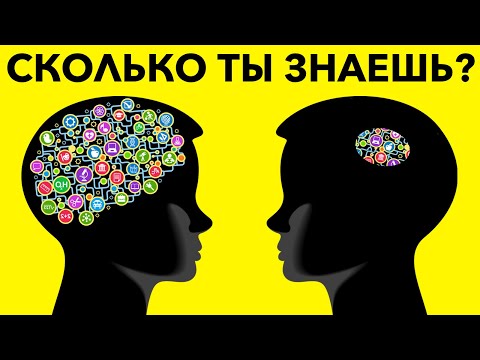 Видео: Что такое тест на базовые знания?