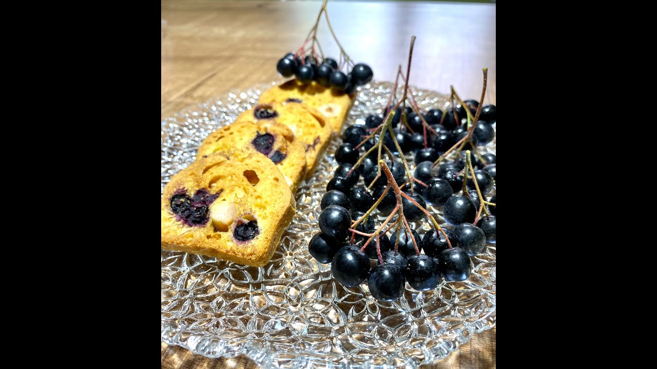 ARONYA ÜRETİMİ GELİR KAPISI OLDU ! DEVREK 