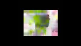 Caramelldansen but you can see the pixels (japanese video clip in 96x64)