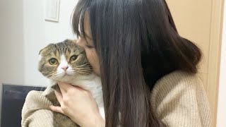 仕事始めのママを猫吸いで癒す親子猫