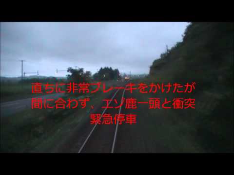 【衝撃映像･前面展望】列車がエゾシカと衝突する瞬間　（HD推奨）