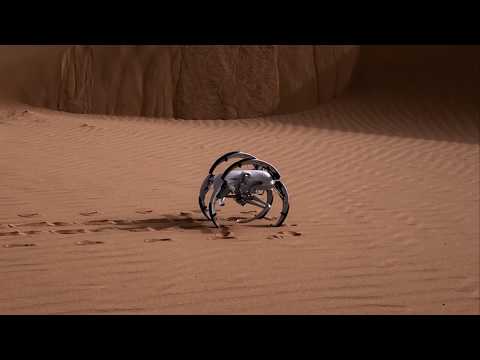 BionicWheelBot in action