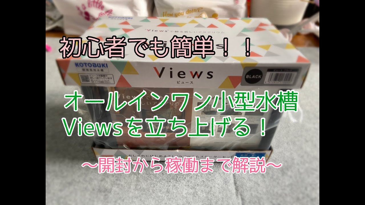 小型水槽views ビュース を立ち上げる Youtube