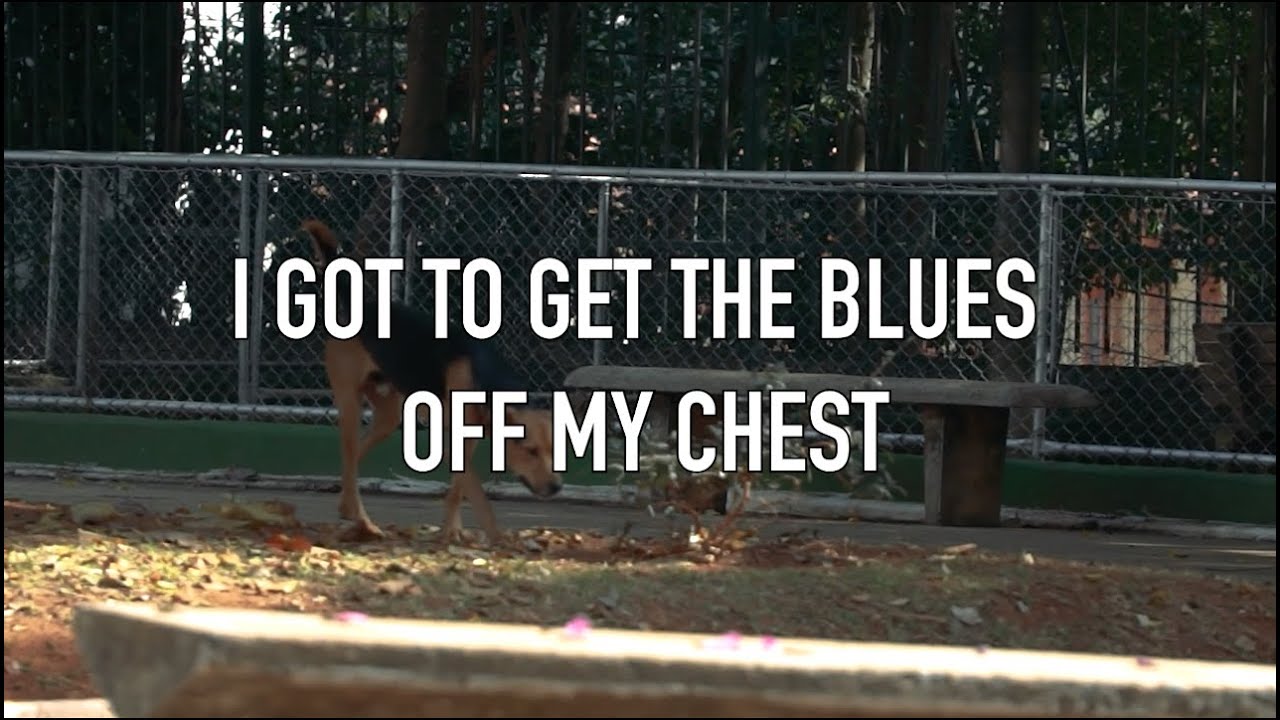 MISSING YOU BLUES - MÚSICA EM FAMÍLIA - LET'S SING TOGETHER