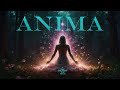 Anima   liberation frequency  meditation  focus  relaxation