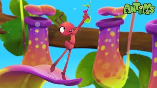 Mystery Mix | Antiks 🐜 | Funny Cartoons for Kids