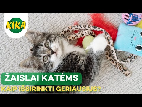 Video: Kaip kontroliuoti savo katės nuleidimą