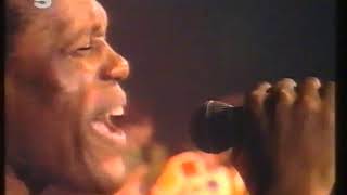 Ndedi Dibango Live  -  It&#39;s Alright