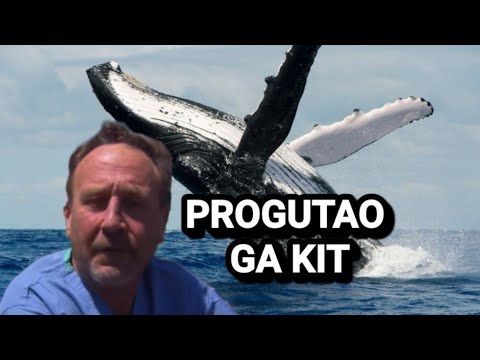Video: Može li kit ubojica progutati čovjeka?