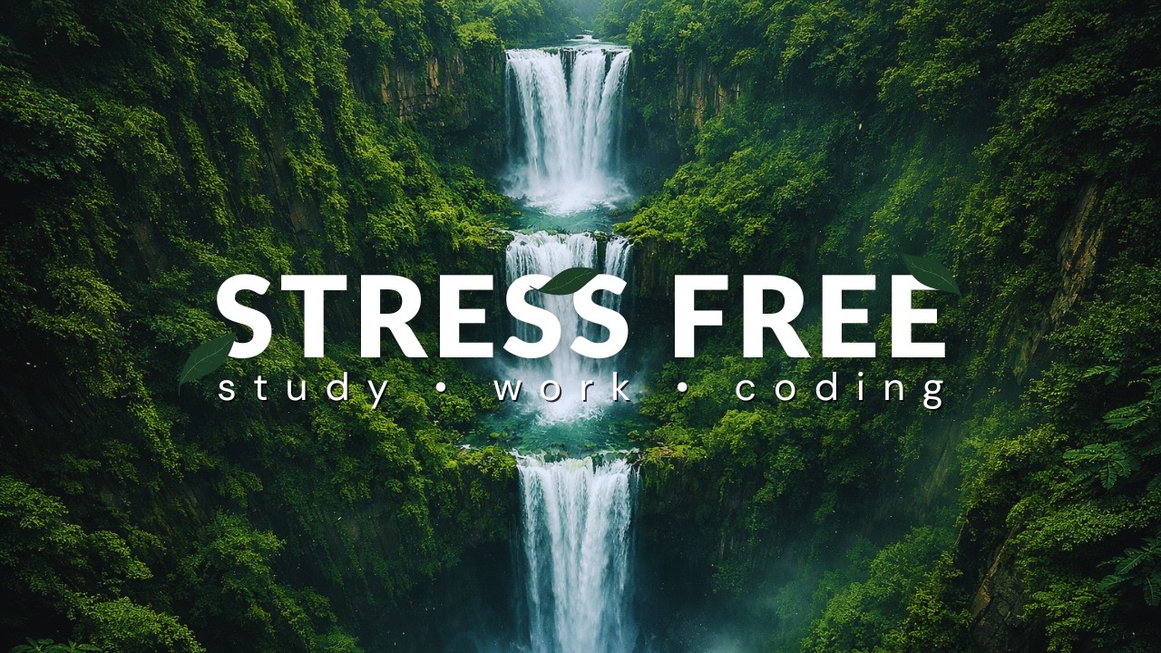 Relaxing Developer DEVELOPER FOCUS MUSIC FOR CODING – RELAXING AMBIENT BACKGROUND FOR DEEP ...