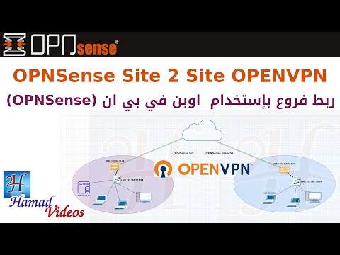 Site2Site OPENVPN in OPNSense